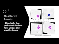 Blood Cell Classification - Applied Fundamentals of Machine Learning