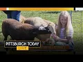 Kidsburgh releases their Fall Fun guide