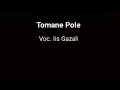 Download Lagu KAROKE MANDAR - IIS GAZALI TOMANE POLE