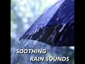 Windy Rain Sounds