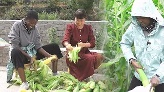 Download Me and Mei went corn picking in the fields today, but we failed at making Corn Water Tofu... MP3