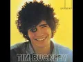 I Never Asked to Be Your Mountain - Tim Buckley
