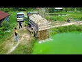 Download Lagu Bulldozer Power Best Remove Pond work with Truck 5Ton