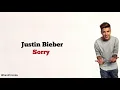 Justin Bieber - Sorry | Lirik Terjemahan