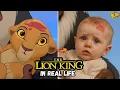 Download Lagu The Lion King in REAL LIFE | Circle of Life