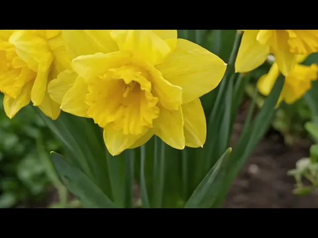 files/preview_images/hqdefault_c9470b59-1bdf-4c40-8391-bd3b52dc4f41.jpg