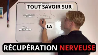 tout savoir sur la r cup ration nerveuse