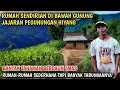 Download Lagu Rumah Sendirian Dibawah Gunung Ujung Utara Jember