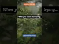 Path to Triumph