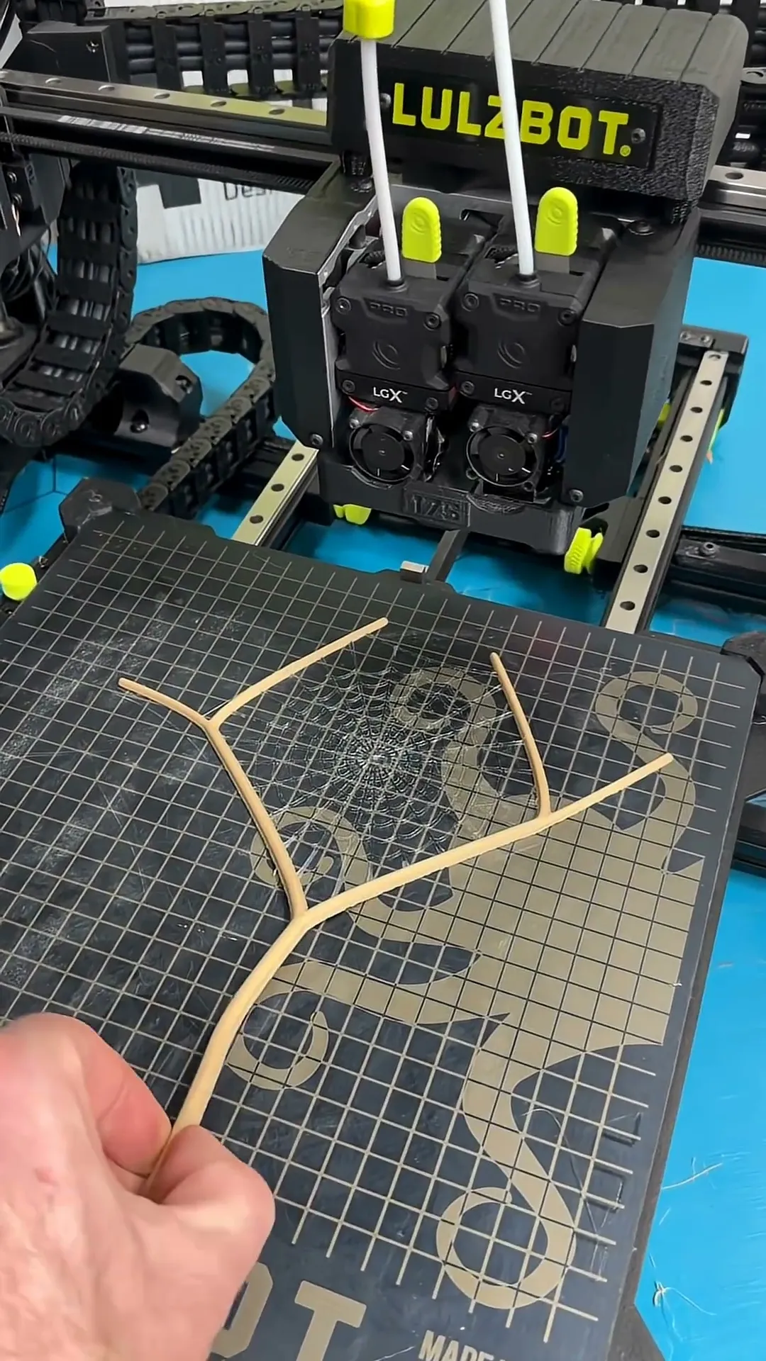 Multi Material Spiderwebs