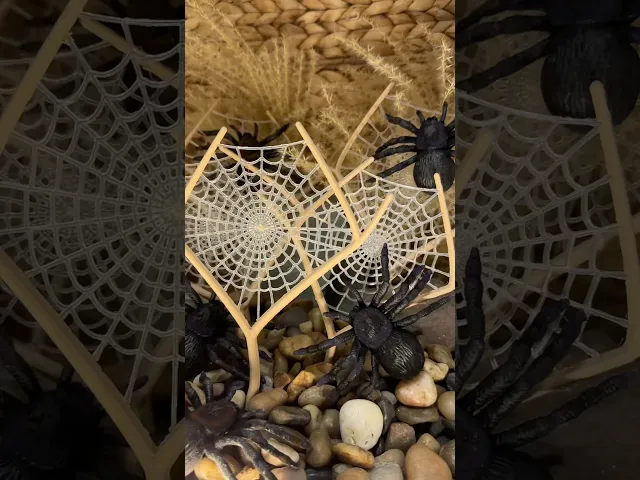 Multi Material Spiderwebs video thumbnail