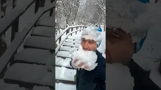                                    دندنها