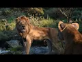 Download Lagu The Lion King (2019) - Simba \u0026 Nala's Argument (Swedish) 🇸🇪 [Audio Only]