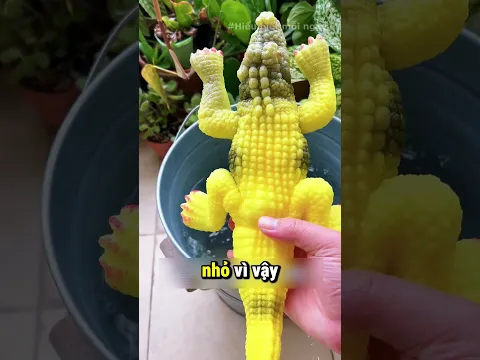 Đồ Chơi Cá Sấu Ngâm Nước Có Thể Lớn 600%? 😱🐊 Kết Quả Không Thể Tin Được!