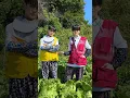 Download Lagu TREASURE MAP EP.73 | TREASURE OUTFIT CHECK 🕶️
