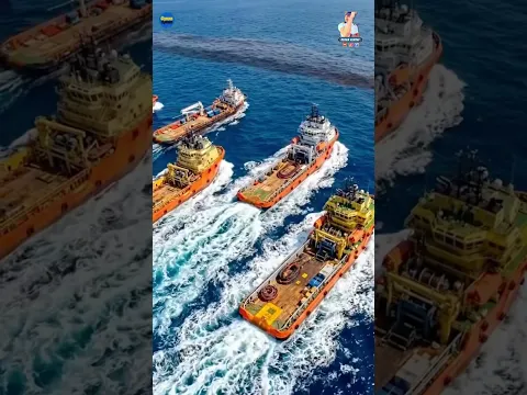 Aapko Pta Tha??? # Shiplife # Reality