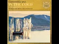 In The Cold (Extended Mix)