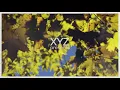 Hosini - Flyga [XYZ007]