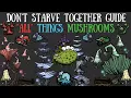 Don t Starve Together Guide All Things Mushrooms