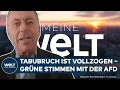 Lagu DEUTSCHLAND: Grüne stimmen mit AfD: „Der Tabubruch ist vollzogen“ | MEINUNG