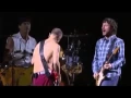 Download Lagu Red Hot Chili Peppers - jam + Californication live in Chorzów Poland(2007)