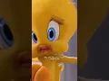 Download Lagu oh ou eu acho que vi um gatinho 😸