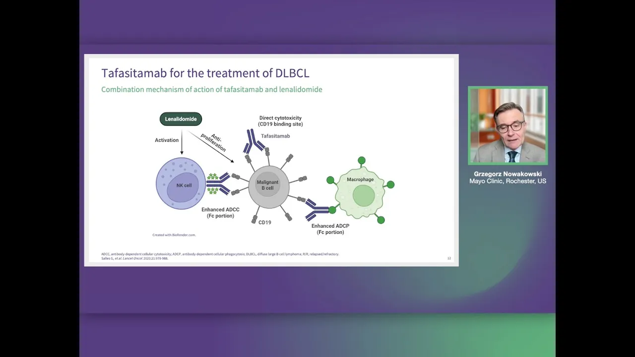 Anti-CD19 monoclonal antibodies for the treatment of DLBCL