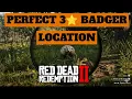 Where to Find a Perfect Badger in Red Dead Redemption 2 Best Spot for 3 Pelt