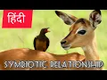 Symbiotic Relationship Biology from basic ChapterBegins