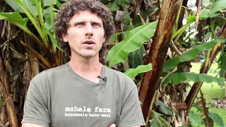 Growing Farmers