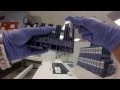 Behind the scenes What happens to a blood sample