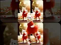 Download Lagu cat dance// #trending #youtubeshorts #baby #cat #song #dance #viral #k2 #mumbai #barish