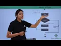 Java - For Loop