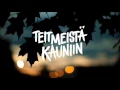 Erika Susan - Teit meistä kauniin
