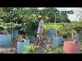 Download Lagu Kopi dan bonsai di tengah persawahan