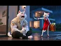 Download Lagu 😢😱 She Betrayed Her Poor Husband and Abandoned Her Kitten Because of Money! 💥 #aicat #catvideos