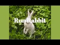 도망쳐, 토끼야 | Mollie Elizabeth - Run Rabbit [가사해석/번역/lyrics]