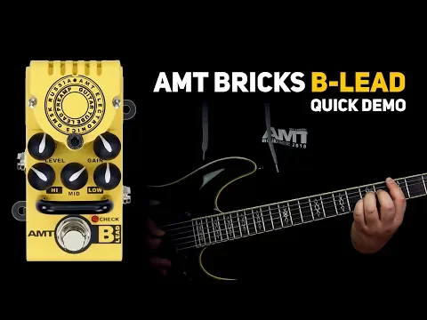 AMT Electronics B-Lead Tube Preamp | Delicious Audio