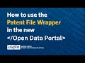 How to use Patent File Wrapper
