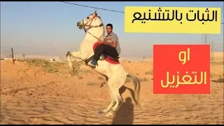 شرح الثبات على الخيل بالتشنيع او التغزيل  مختصر  دندنها