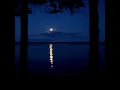 My Sweet Lord - Damian Marley