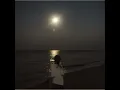 full moon. (fall in tokyo)