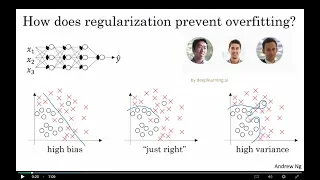 Why Does Regularization Reduce Overfitting in Deep Neural Networks