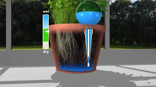 Plantpal Watering Globe