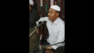 أولس داملال ماماك 