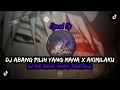 Download Lagu Dj Abang Pilih Yang Mana x Akimilaku - Speed Up