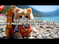 Download Lagu DJ _ GOYANG ENAK AYO PUSING X PIPI MIMI VIRAL TIKTOK_
