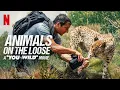 Download Lagu Man vs Wild new episode #manvswild
