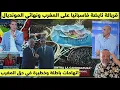 Total chaos The Spanish have crossed all red lines against Morocco with false and shocking accus