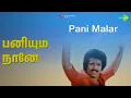 Lagu பனியும் நானே | Pani Malar | Jency | S.P. Balasubrahmanyam Songs | Kanthimathi | Pratap Pothen